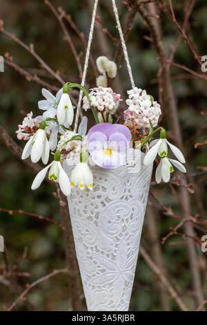 Blumenarrangement aus violetter Bratsche, Schneeglöckchen, Frühlingsschneeflocke und duftendem Viburnum in einem Kegel aus Deckchen, der im Garten hängt Stockfoto