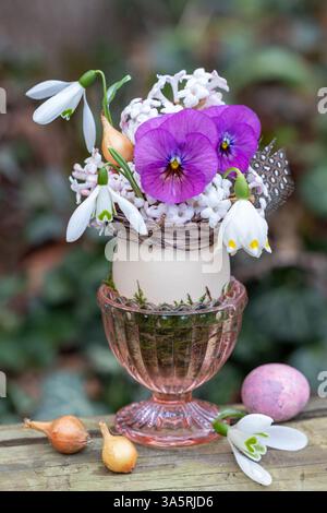 Blumenarrangement aus rosa Bratschenblüte, Schneeglöckchen, Frühlingsschneeflocke und Viburnum in einem Ei im Garten Stockfoto