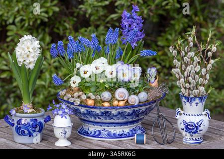 Gartenanlage mit weißen Bratschenblüten, blauen Traubenhyazinthen und Hyazinthen in einer Porzellanschale und Weidenkatetten Stockfoto