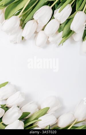 Frühlingsblume. Frische weiße Tulpen, die entlang der oberen und unteren Kanten eines weißen Hintergrunds angeordnet sind, schaffen einen klaren Blumenrahmen mit Kopierraum für Text oder Design Stockfoto