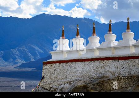 Buddhistische Chorten (Stupa) und Himalaya-Berge im Hintergrund in der Nähe des Shey Palace in Ladakh, Indien Stockfoto