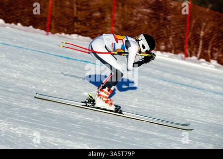 Eine Frau, die beim Abfahrtsski eine schneebedeckte Piste hinunterfährt Stockfoto