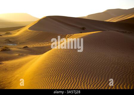 Mein exotischer Reiseroute in Namibia Herbst 2024 Stockfoto
