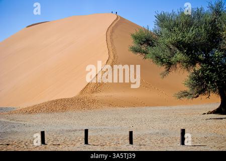 Mein exotischer Reiseroute in Namibia Herbst 2024 Stockfoto