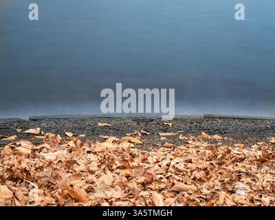 Eine ruhige Seeszene mit herabfallenden Herbstblättern, die den Boden bedecken und zu einem ruhigen, nebeligen See führen. Das Bild erfasst den Übergang zwischen dem EA Stockfoto