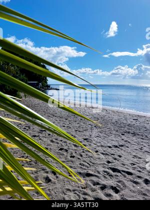 Friedliche Aussicht auf einen tropischen schwarzen Sandstrand mit grünen Palmenwedeln im Vordergrund, ruhige Meereswellen und hellblauer Himmel voller weicher weißer Wolken. Stockfoto