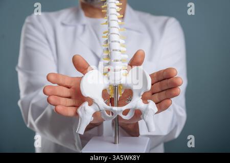 Der Arzt hat ein Wirbelsäulenmodell. Nahaufnahme eines älteren Mannes vor Hintergrund. Stockfoto