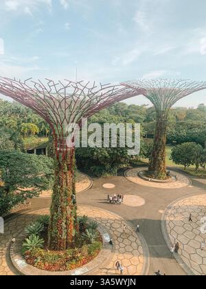 Gardens by the Bay, Singapur – üppiges Grün und futuristische Superbäume Stockfoto