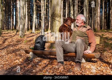 Ein älterer Mann sitzt auf einer hölzernen Bank im Wald, sein irischer Setter an seiner Seite. Ihre Köpfe berühren sich fast, ein ruhiger Moment der Harmonie. Stockfoto