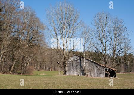 Verwitterte Holzscheune steht auf einer grünen Frühlingswiese. Einmal zur Lagerung von Heu und landwirtschaftlichen Geräten verwendet. Stockfoto