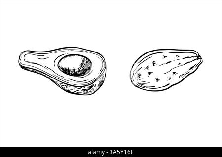 Avocado-Vektor-Illustration mit schwarzen Tinten gemalt. Zur Hälfte mit Samen und Schnitten der aktuellen Frucht realistische grafische Skizze. Stock Vektor