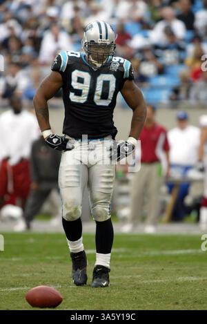 November 2004; Charlotte, NC, USA; NFL Football - Carolina Panthers Defensive End Julius Peppers gegen die Arizona Cardinals im Bank of America Stadium in Charlotte, N.C. die Panthers siegten mit 35:10. Stockfoto
