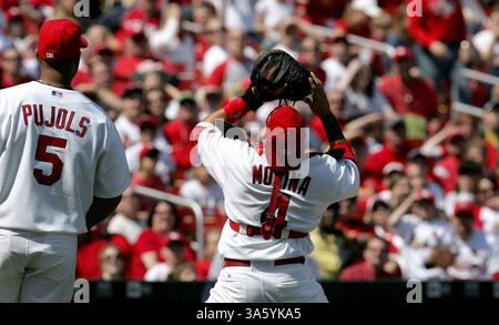5. April 2008: Yadier Molina fängt im Busch Stadium in St. Louis, Missouri, am Samstag, den 5. April 2008 eine Popfliege gegen die Washington Nationals an. Die Kardinäle gewannen mit 5:4. (Anthony Souffle/St. Louis Post-Dispatch/MCT) (Kreditbild: © Anthony Souffle/MCT/ZUMAPRESS.com) Stockfoto