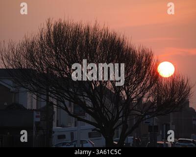 Sheerness, Kent, Großbritannien. März 2025. Wetter in Großbritannien: Sonnenuntergang in Sheerness, Kent. Quelle: James Bell/Alamy Live News Stockfoto