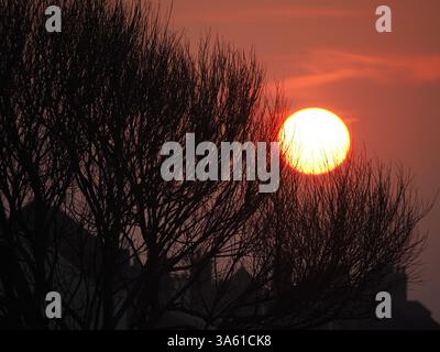 Sheerness, Kent, Großbritannien. März 2025. Wetter in Großbritannien: Sonnenuntergang in Sheerness, Kent. Quelle: James Bell/Alamy Live News Stockfoto
