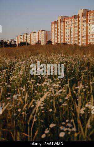 Außenansicht des modernen Apartmentgebäudes. Neubau-Apartment oder Appartementkomplex. Moderner neuer Wohnwohnhauskomplex Stockfoto