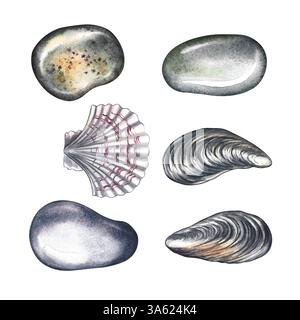 Mit Meeresfelsen, Muscheln und Jakobsmuscheln. Eine handgezeichnete Aquarellillustration. Farbbilder von Strandelementen in Form von Clipart. Getrennt von t Stockfoto