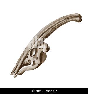 Leiter des parasaurolophus. Dinosaurierskelett. Schädel von Pflanzenfressern. Prähistorisches Fossil. Aquarellabbildung ohne Hintergrund. Schwarzweiß Stockfoto