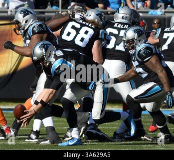 14. Dezember 2014 - Charlotte, NC, USA - Carolina Panthers Quarterback Derek Anderson (3) holt sich einen losen Fußball während der Action im ersten Quartal am Sonntag, den 14. Dezember 2014, im Bank of America Stadium in Charlotte, N.C. (Credit Image: © Jeff SINER/TNS/ZUMA Wire) Stockfoto