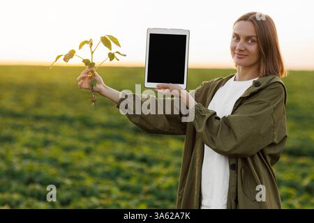 Die lächelnde Agronomin hält ein digitales Tablet mit Mockup-Bildschirm und Sojapflanze im Feld, untersucht, überprüft, schaut in die Kamera. Smart Farming so Stockfoto