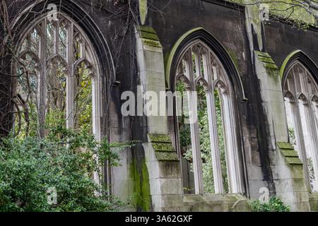 Die alten Fenster, die mit Moos bedeckt sind, in den Ruinen von St. Dunstan im East Church Garden in London, Großbritannien Stockfoto