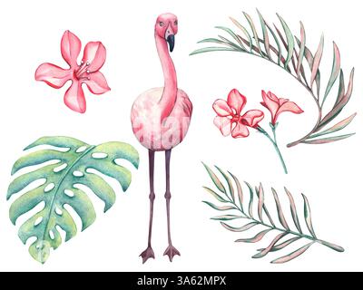Set isoliert von rosa Flamingo, rosa Blumen und Palmblättern. Aquarellillustration tropischer Blätter und Vogel. Bilder mit Tiermotiven für Designs i Stockfoto