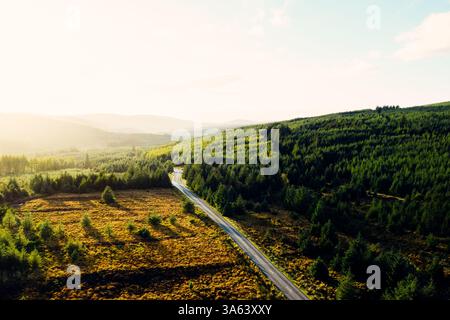 Blick aus der Vogelperspektive auf eine Straße durch den üppig grünen Sitka-Fichtenwald, der Schatten der Bäume in den malerischen Wicklow Mountains wirft Stockfoto