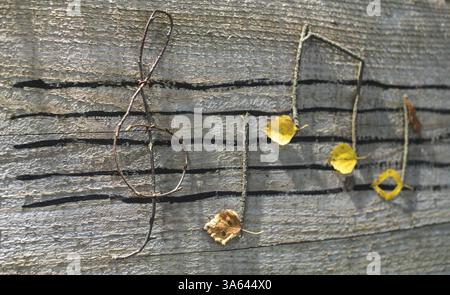 Musiknoten-Konzeption. Hölzerne Noten und Blätter Stockfoto