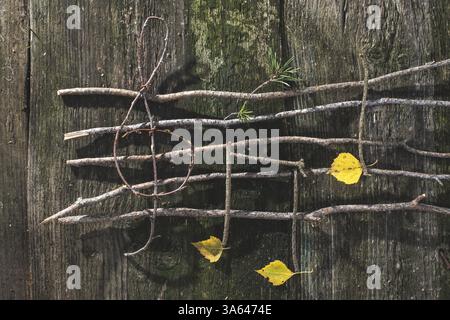 Musiknoten-Konzeption. Hölzerne Noten und Blätter Stockfoto