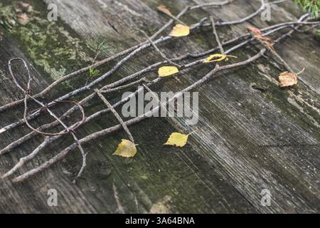 Musiknoten-Konzeption. Hölzerne Noten und Blätter Stockfoto