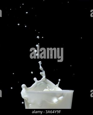 Spritzen Milch auf schwarzem Hintergrund. Spritzer Milch Stockfoto