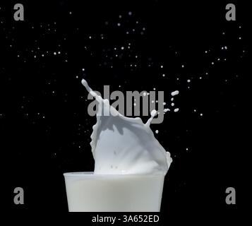 Spritzen Milch schwarz isoliert in der Nähe, Studioaufnahme Stockfoto
