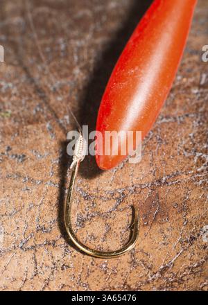 Haken zum Angeln und schwimmen. Makroaufnahme. Natürliches Aussehen Stockfoto