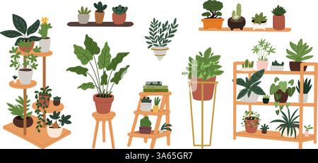Gewächshauspflanzen. Heimgärtnerei. Ficus und Blumen. Dekoratives Grün. Blumentöpfe auf Ständen und Regalen. Innentöpfe für Monstera. Sukkulenten Stock Vektor