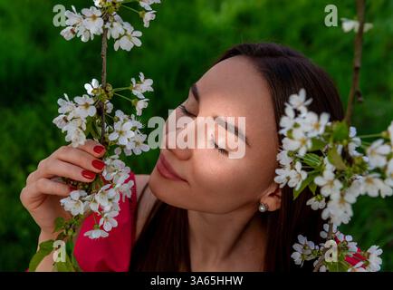 Hochwinkelblick mit einer glücklichen Frau, die die Natur in einem Kirschbaumgarten genießt Stockfoto