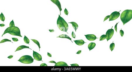 Realistisch grüne Blätter, die durch die Luft fallen oder fliegen. Lebendige Laubelemente, Frühlings- oder Sommergrünklippern, Natur-Blattmuster. Frisches Blumendesign, umweltfreundliche Tapete. Stock Vektor