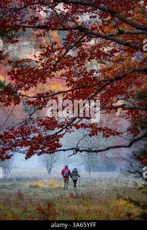 Ein paar spazieren Hand in Hand durch die lebhafte Herbstlandschaft des Ordesa-Tals, umgeben von goldenen Bäumen, majestätischen Bergen und farbenfrohen Blättern Stockfoto