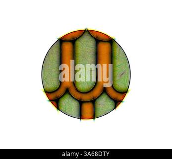 Ein lebhaftes, abstraktes Design mit einer zentralen ovalen Form, die mit komplizierten Kurven und Texturen verziert ist, die Orange-, Grün- und dezente Highlights kombiniert, die ein Gefühl von Tiefe und Bewegung vermitteln. Klassische Kunst mit modernem Touch, neu interpretiert von Artotop, verwandeltes assyrisches und persisches Ornament Stockfoto