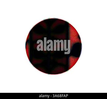 Ein abstraktes Design mit einer zentralen ovalen Form, gefüllt mit komplizierten Mustern und einer Mischung aus dunklen und lebendigen Farben, die ein Gefühl von Tiefe und Bewegung schaffen. Klassische Kunst mit einem modernen Touch, neu interpretiert von Artotop, verwandeltes griechisches Ornament und etruskisches Ornament Stockfoto