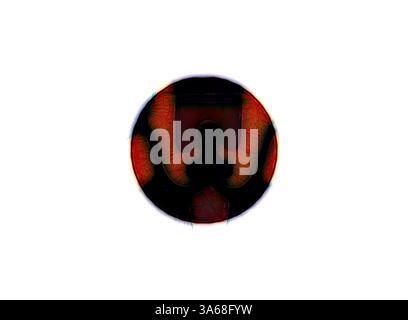 Ein abstraktes kreisförmiges Design mit kontrastierenden Farben und komplizierten Linien, das ein Gefühl von Tiefe und Textur schafft. Die zentrale Silhouette fügt einen faszinierenden Fokus hinzu. Klassische Kunst mit einem modernen Touch, neu interpretiert von Artotop, verwandeltes griechisches Ornament und etruskisches Ornament Stockfoto