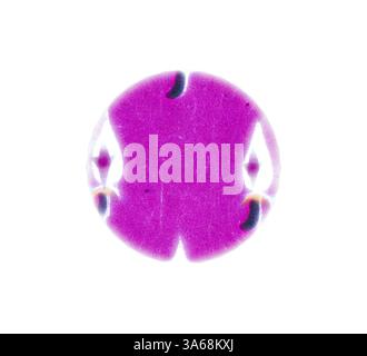 Eine abstrakte Darstellung mit einem lebendigen, symmetrischen Design mit einer zentralen violetten Form und komplizierten Umrissen, die ein Gefühl von Balance und Fließfähigkeit wecken. Klassische Kunst mit modernem Touch, neu interpretiert von Artotop, transformiertes persisches Ornament Stockfoto