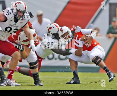 11. Oktober 2014 - Miami Gardens, FL, USA - Miami Hurricanes Quarterback Brad Kaaya (15) wird während des ersten Quartals am Samstag, 11. Oktober 2014 im Sun Life Stadium in Miami Gardens, Florida, von Cincinnati Bearcats Defensive End Terrell Hartsfield (95) entlassen (Kreditbild: © Al Diaz/MCT/ZUMA Wire) Stockfoto