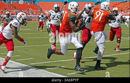 11. Oktober 2014 - Miami Gardens, FL, USA - Miami Hurricanes Linebacker Tyriq McCord (17) ist auf dem Weg, gegen die Cincinnati Bearcats zu schießen, nachdem er den Ball zu Beginn des dritten Quartals am Samstag, 11. Oktober 2014, im Sun Life Stadium in Miami Gardens, Florida abgefangen hat (Kreditbild: © Al Diaz/MCT/ZUMA Wire) Stockfoto