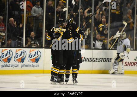 24. November 2014: Boston, Massachusetts, USA – die Bruins feiern ein Tor während des Spiels zwischen den Pittsburgh Penguins und den Boston Bruins im TD Garden in Boston, Massachusetts. Pittsburgh besiegte Boston 3-2 in Überstunden. Eric Canha/CSM(Bild: © Eric Canha/Cal Sport Media/ZUMAPRESS.com) Stockfoto
