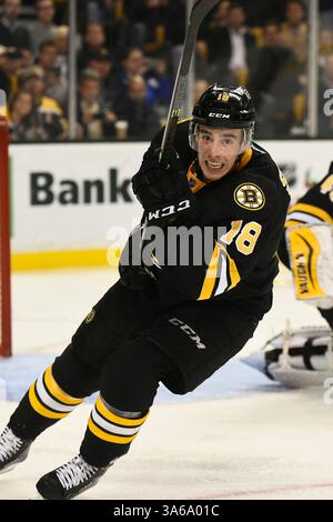 24. November 2014: Boston, Massachusetts, USA – Boston Bruins, rechtlicher Flügel Reilly Smith (18) im NHL-Spiel zwischen den Pittsburgh Penguins und den Boston Bruins im TD Garden in Boston, Massachusetts. Pittsburgh besiegte Boston 3-2 in Überstunden. Eric Canha/CSM(Bild: © Eric Canha/Cal Sport Media/ZUMAPRESS.com) Stockfoto