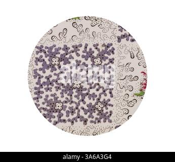 Ein kreisförmiges Muster mit komplizierten Blumen- und abstrakten Designs, mit einer Mischung aus lebhaften Farben und detaillierten Linien. Klassische Kunst mit modernem Touch, neu interpretiert von Artotop, transformierte französische Stoffe, erste Hälfte des 19. Jahrhunderts Stockfoto