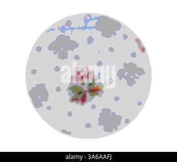 Ein kreisförmiges Design mit einer Mischung aus abstrakten Blumenmustern und gesprenkelten Texturen für einen skurrilen und künstlerischen visuellen Effekt. Klassische Kunst mit modernem Touch, neu interpretiert von Artotop, transformierte französische Stoffe, erste Hälfte des 19. Jahrhunderts Stockfoto