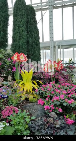 Farbenfroher Indoor Garden in einem Glaskonservatorium mit lebendigen Blumen und Grün Stockfoto