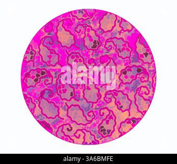 Ein lebhaftes Kreismuster mit wirbelnden Formen in Rosa, Lila und Orange für ein dynamisches und verspieltes Design. Klassische Kunst mit modernem Touch, neu interpretiert von Artotop, transformierte französische Stoffe, erste Hälfte des 19. Jahrhunderts Stockfoto