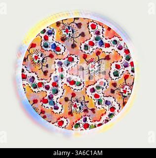 Ein kreisförmiges Muster mit komplizierten Blumenmustern und leuchtenden Farben, umgeben von einer kunstvollen Borte, die den dekorativen Charme unterstreicht. Klassische Kunst mit modernem Touch, neu interpretiert von Artotop, transformierte französische Stoffe, erste Hälfte des 19. Jahrhunderts Stockfoto